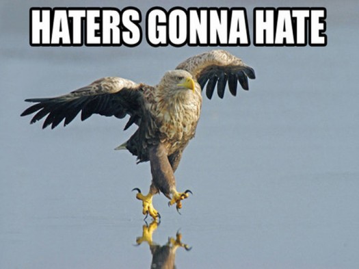 haters gonna hate