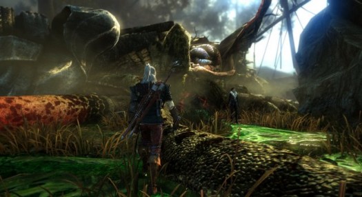 the witcher 2 9