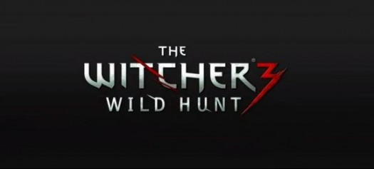the witcher 33
