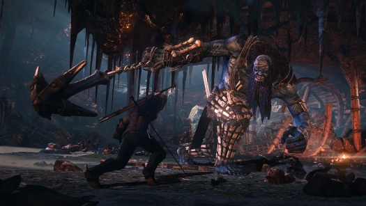 the witcher 3 shot