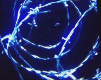 Bethesda тийзва нов проект... не е Fallout 4