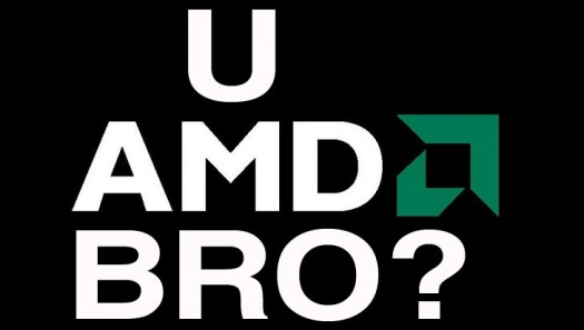 amd1
