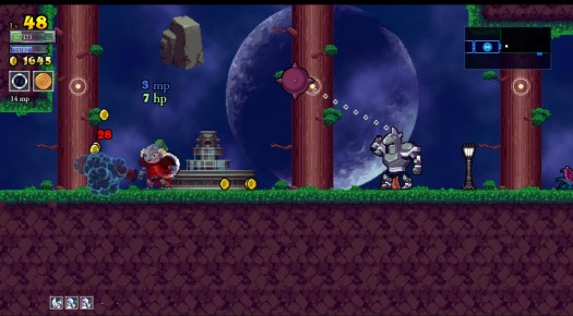 rogue legacy 27