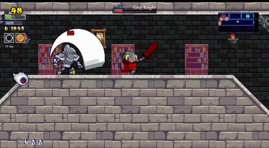 rogue legacy 28