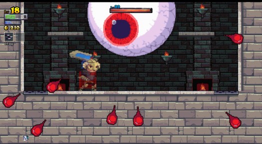 rogue legacy 9