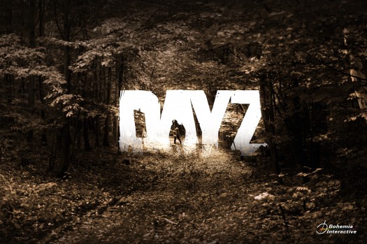 dayz standalone 3