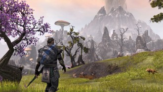 The Elder Scrolls Online с по-масов бета тест този уикенд