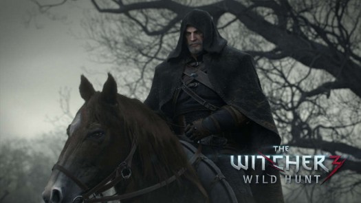 the witcher wild hunt