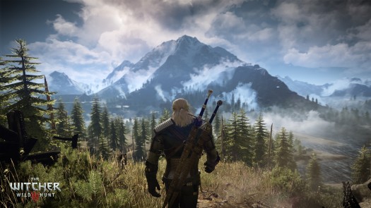 the witcher 3 12