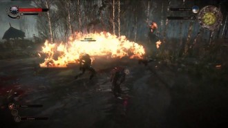 Появи се още геймплей от The Witcher 3