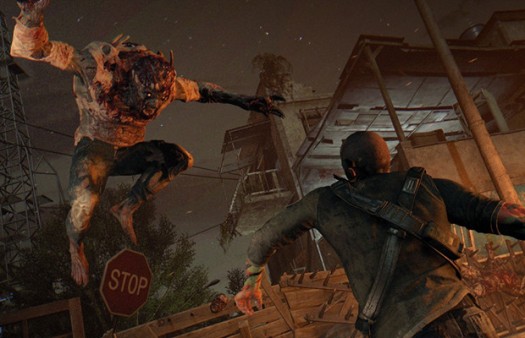 dying light 9