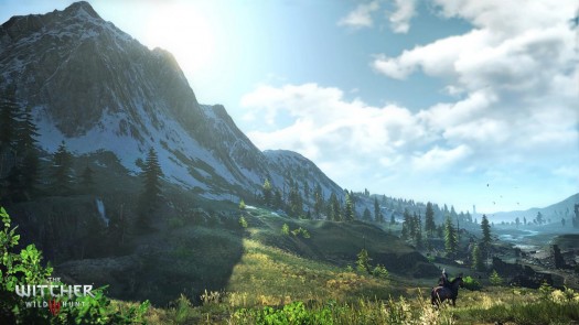 the witcher 3 wild hunt 3
