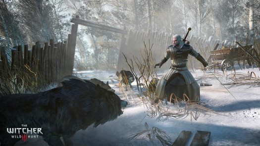 the witcher 3 wild hunt 5