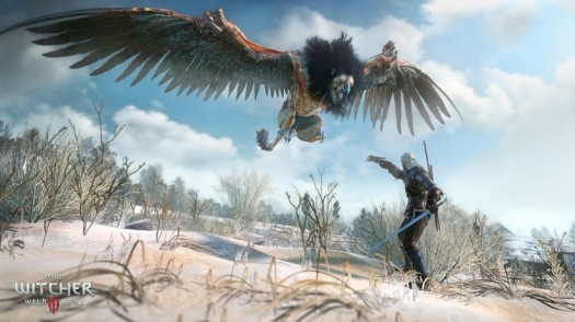 the witcher 3 wild hunt 6