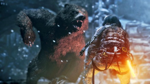 rise of the tomb raider 12