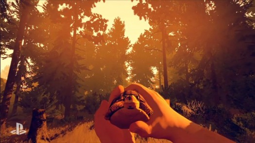firewatch 1