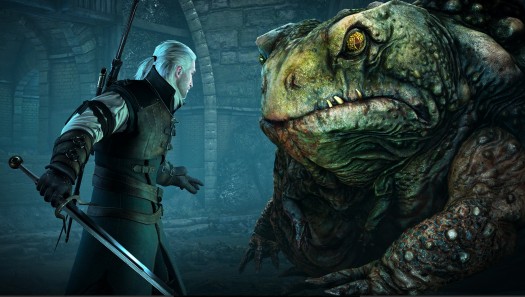 the witcher 3 36