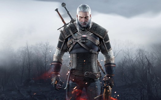 the witcher 333