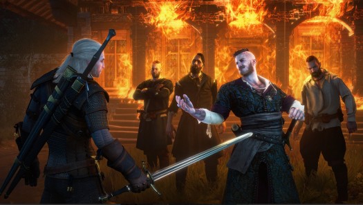 the witcher 3