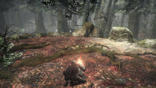 dark souls 27