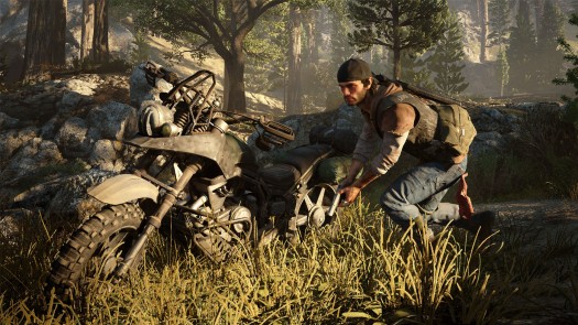 days gone 1
