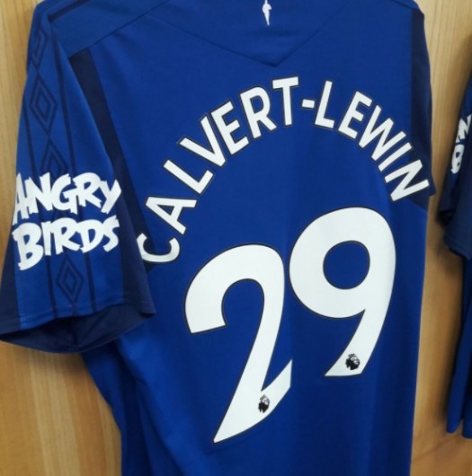 angry bird everton