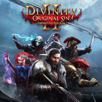 Divinity: Original Sin II - закъсняло ревю за страхотното олдскул RPG